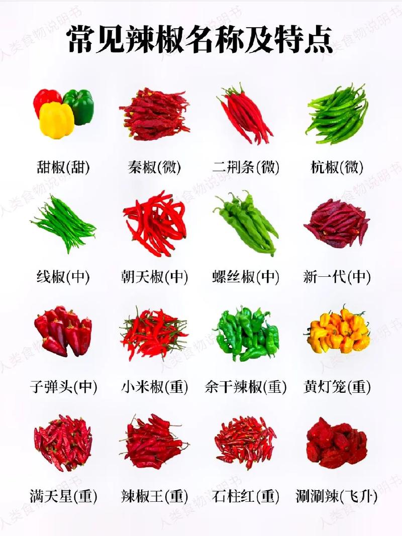 辣椒的种类